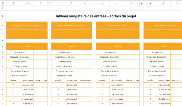 Tableau budgétaire des entrées - sorties du projet